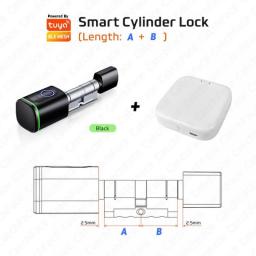 Saudi Euro Tuya APP Fingerprint RFID Card DIY Cylinder Lock Biometric Electronic Smart Door Lock Digital Keyless Replace