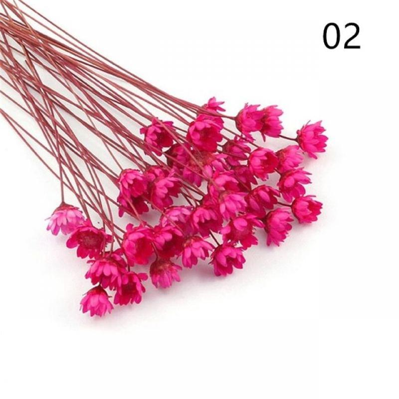 25pcs Decorative Dried Flowers Mini Daisy Small Flowers Bouquet Natural Plants preserve Floral for Wedding Home Decoration