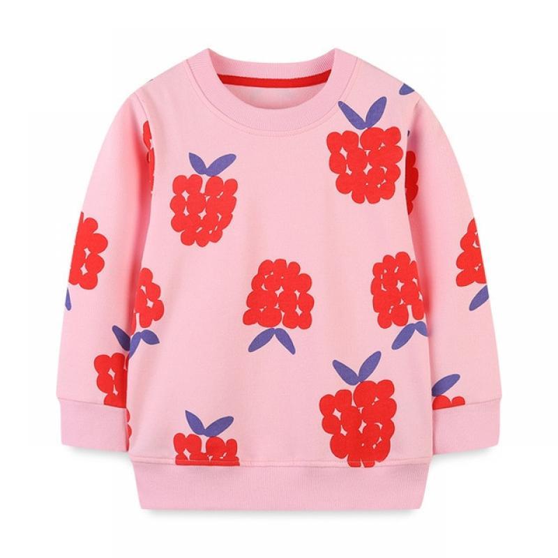 2023 Baby Girls Spring and Autumn Clothes Casual Cotton Tops with Cloud and Rainbow Lovely Sweatshirt for Kids 2-7 Year