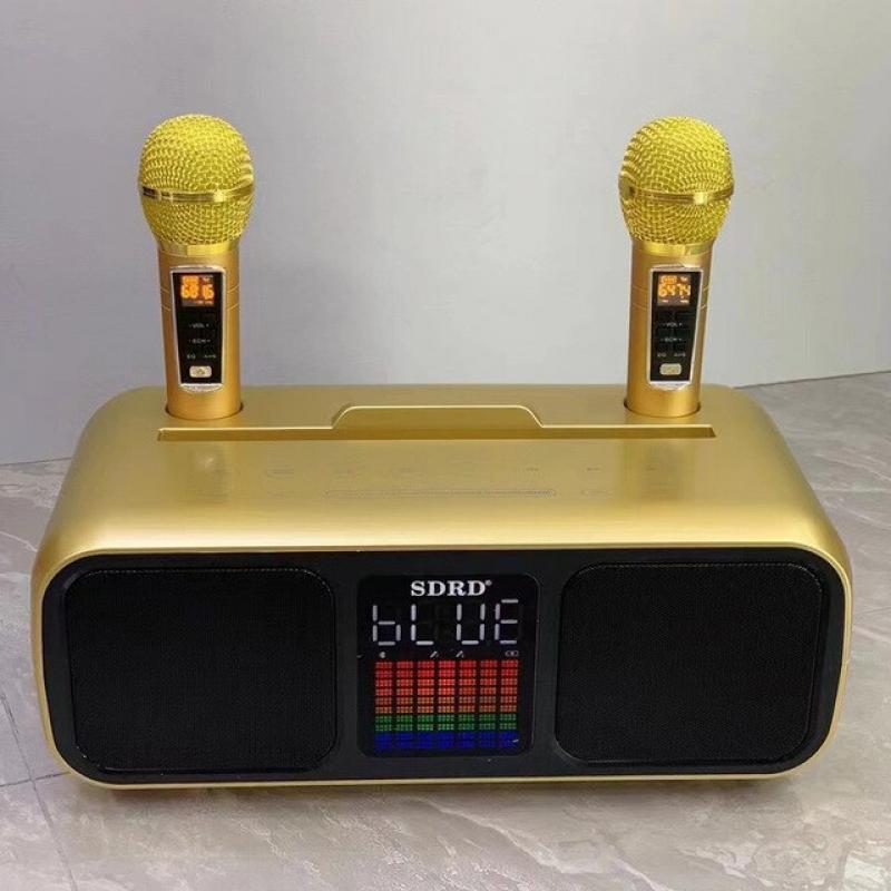 SD318 60W high-power TV mobile phone home karaoke speaker wireless Bluetooth dual microphone integrated KTV audio caixa de som